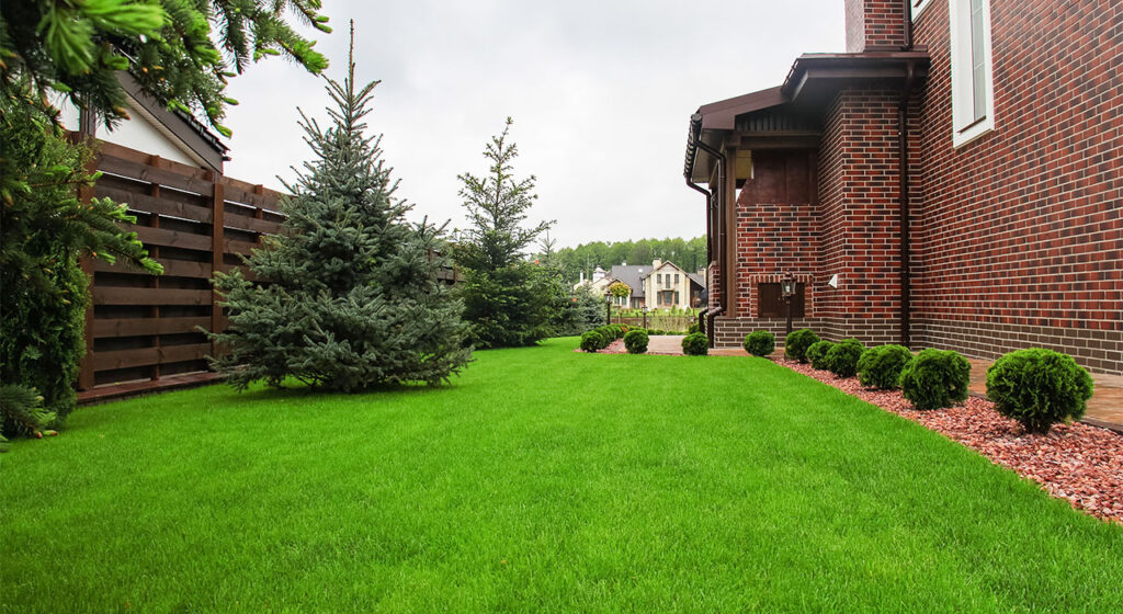 догляд за газоном