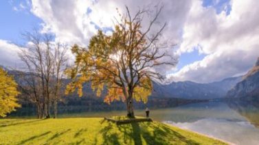 людина на природі