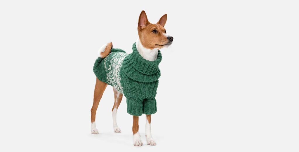 Як зв'язати светр для собаки