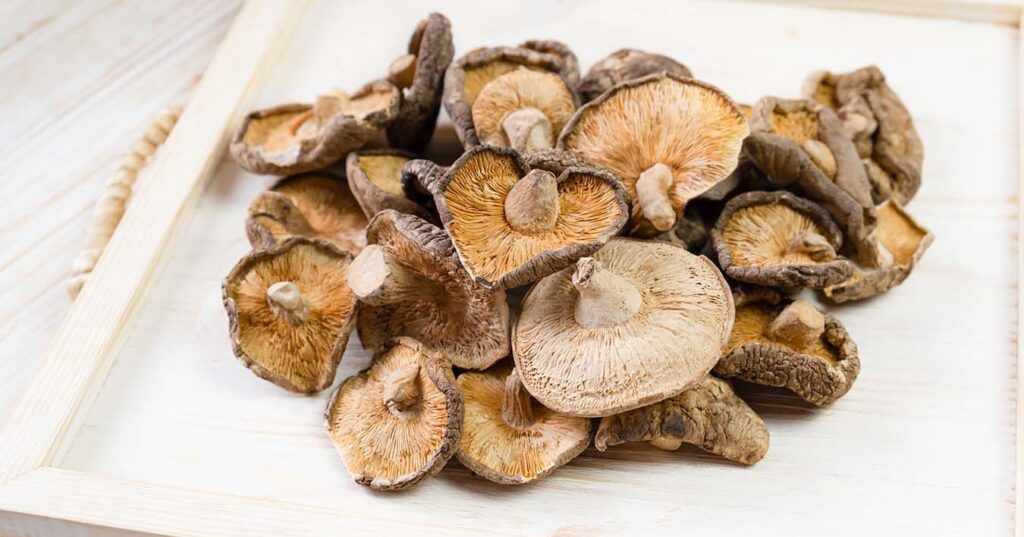 як сушити гриби