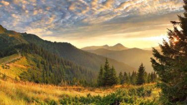 Куди поїхати на відпочинок з сім'єю в Україні у 2024 році